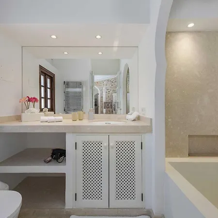 Verd Польенса